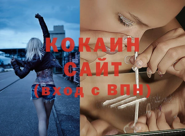 дмт Весьегонск