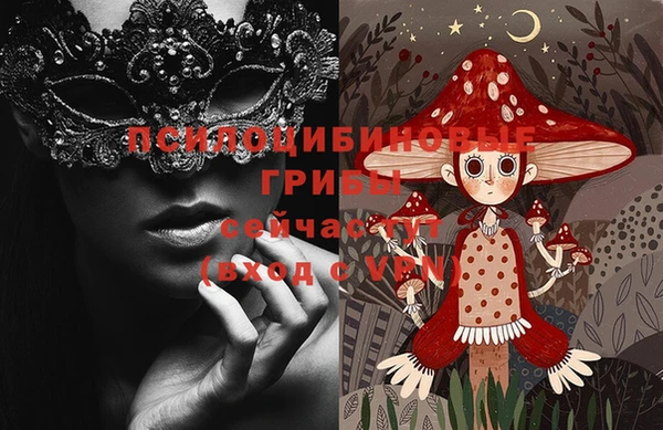 стаф Остров