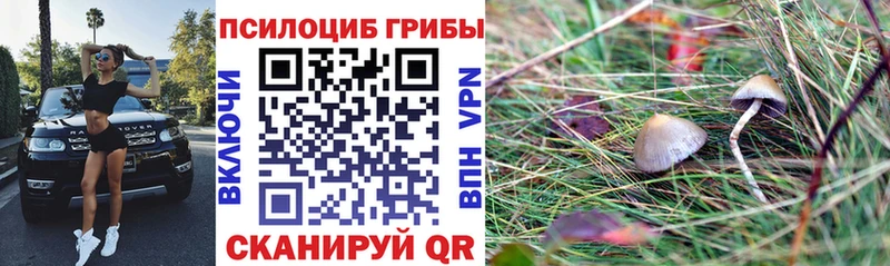 Галлюциногенные грибы GOLDEN TEACHER  ссылка на мегу как войти  Сысерть 